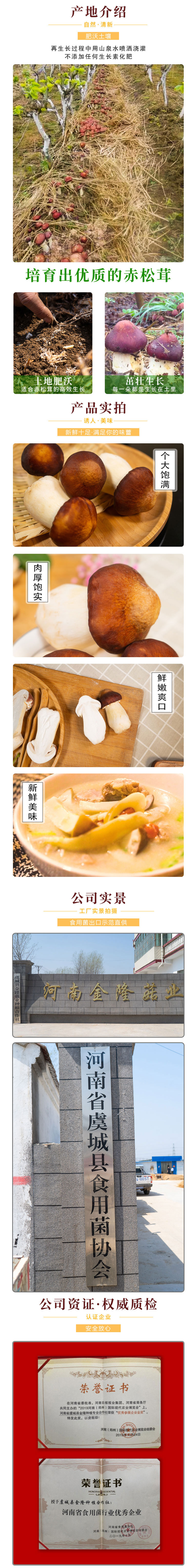 豫菇芝缘 新鲜赤松茸 2斤 图3