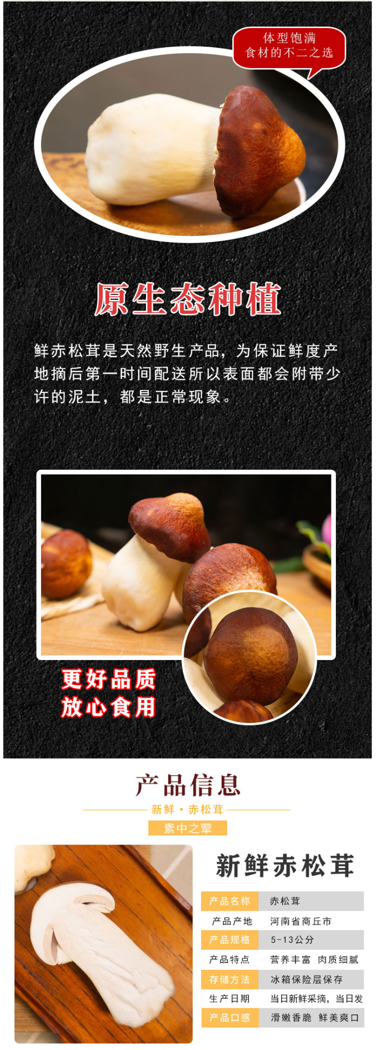 豫菇芝缘 新鲜赤松茸 2斤 图2