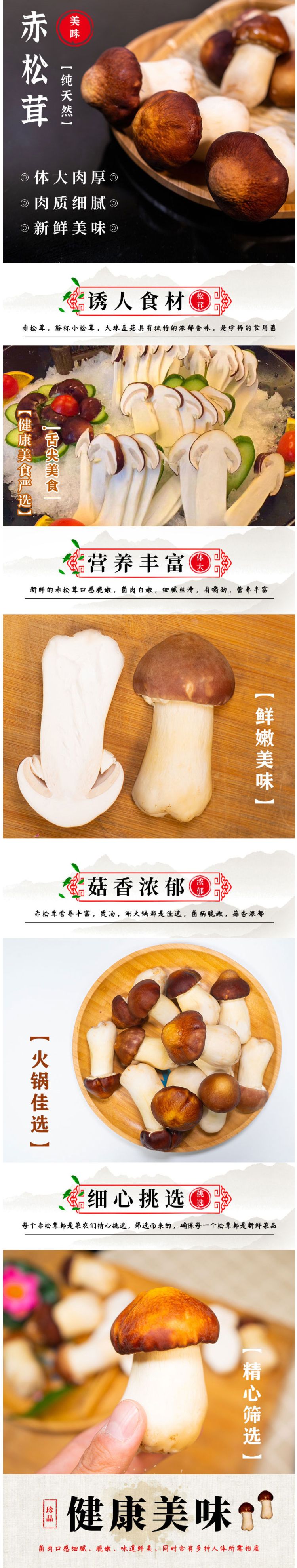 豫菇芝缘 新鲜赤松茸 2斤 图1