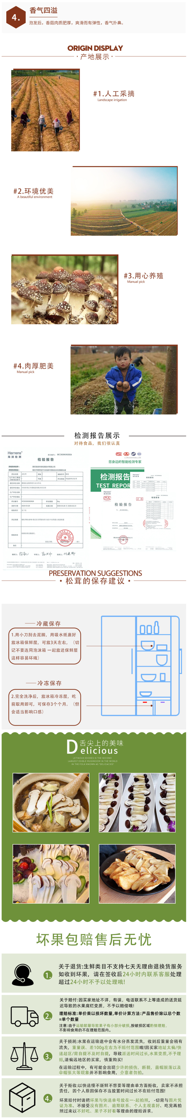 豫菇芝缘 新鲜赤松茸 2斤 图3