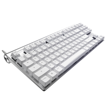 16日0点： CHERRY 樱桃 MX BOARD 8.0 87键 有线机械键盘 白色 白光 青轴 图4
