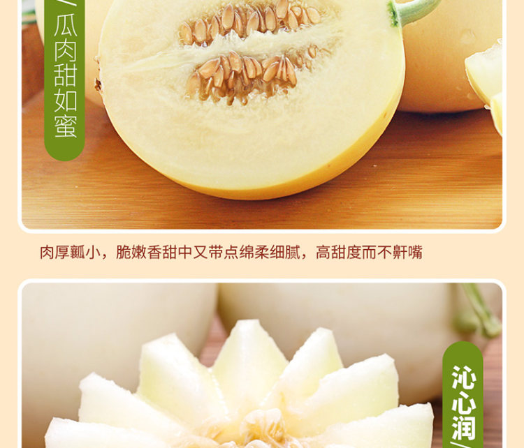 壹农壹果 阎良甜瓜5斤 图6