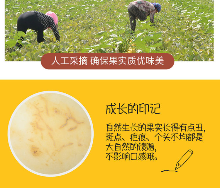 壹农壹果 阎良甜瓜5斤 图13