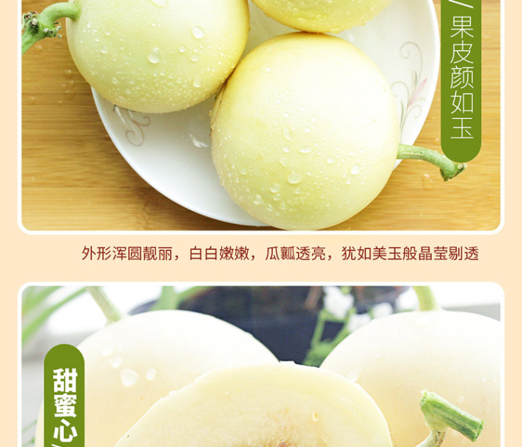 壹农壹果 阎良甜瓜5斤 图5