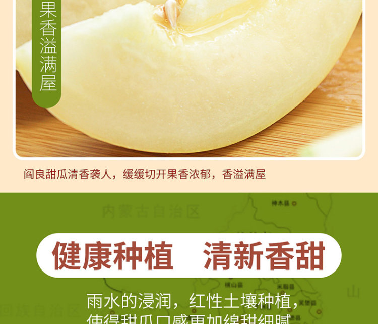 壹农壹果 阎良甜瓜5斤 图8