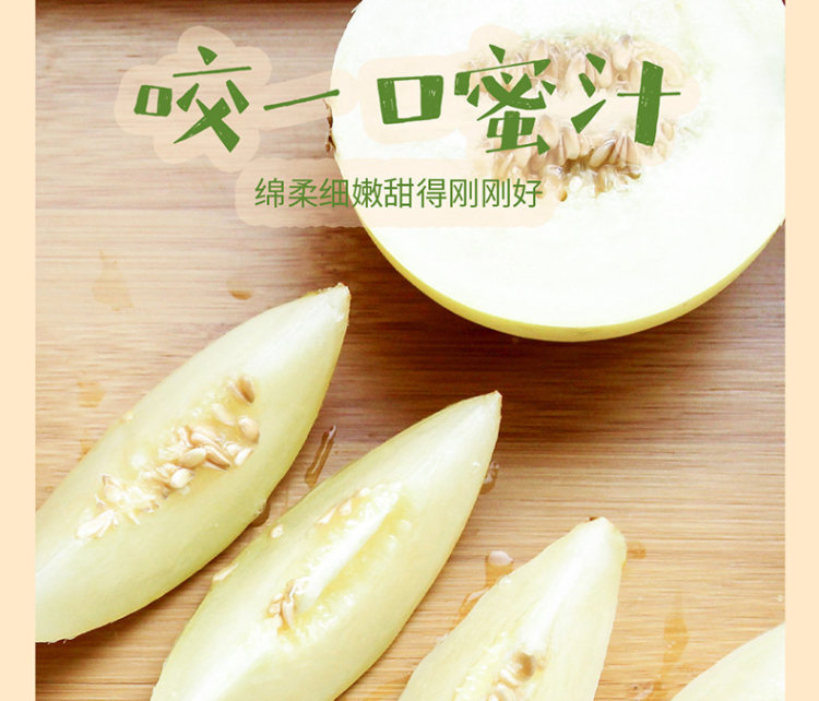 壹农壹果 阎良甜瓜5斤 图3