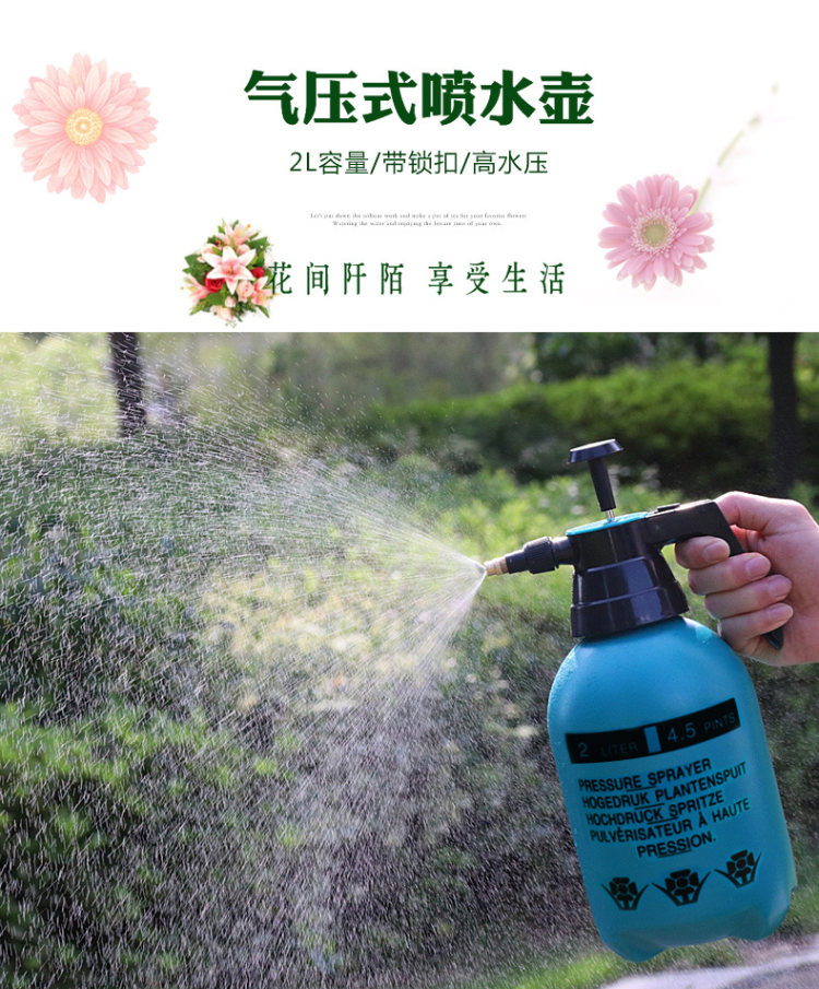 小型手动气压式喷壶2L 图1