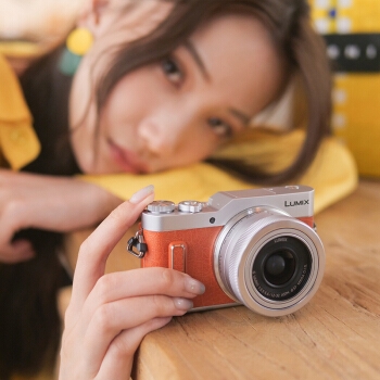 Panasonic 松下 GF10K 微型单电套机（12-32mm镜头） 图3
