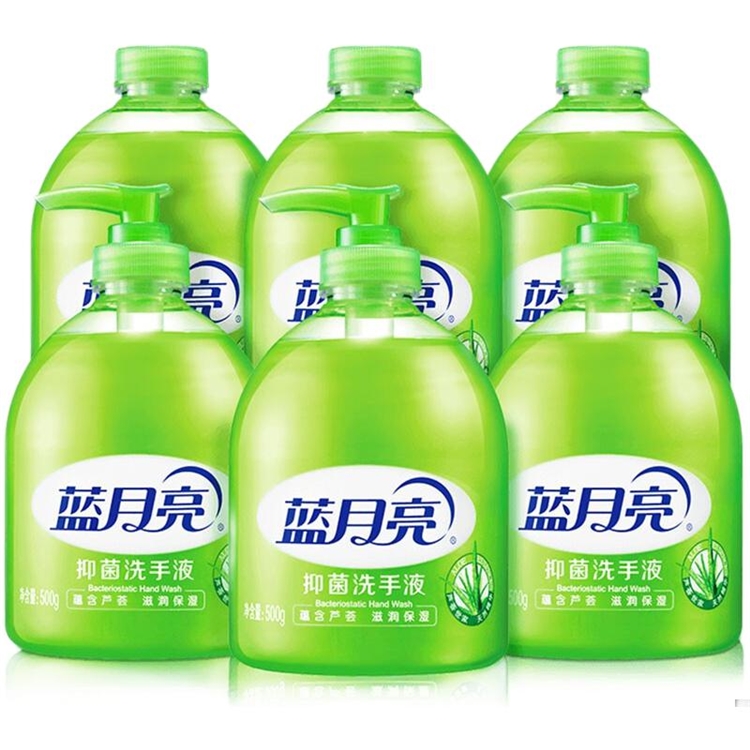 Bluemoon 蓝月亮 芦荟抑菌洗手液套装（洗手液瓶500g*3+瓶装补充装500g*3） 图1