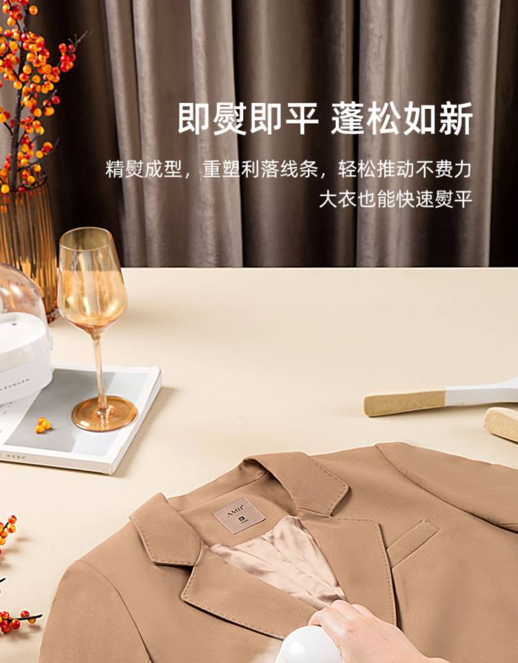 飞乐思 便携式蒸汽熨斗手持挂烫机 图8