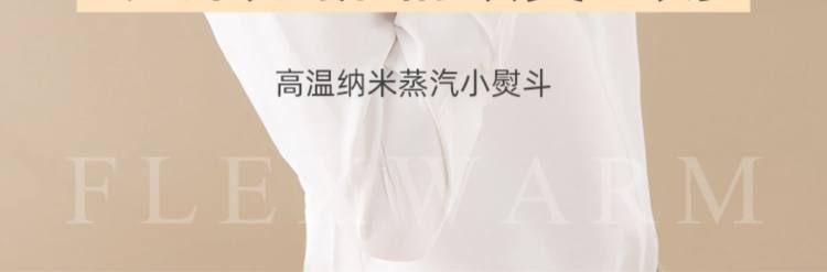 飞乐思 便携式蒸汽熨斗手持挂烫机 图2