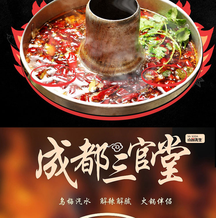 小苏三 官堂乌梅汽水300ml*8瓶整箱 图2