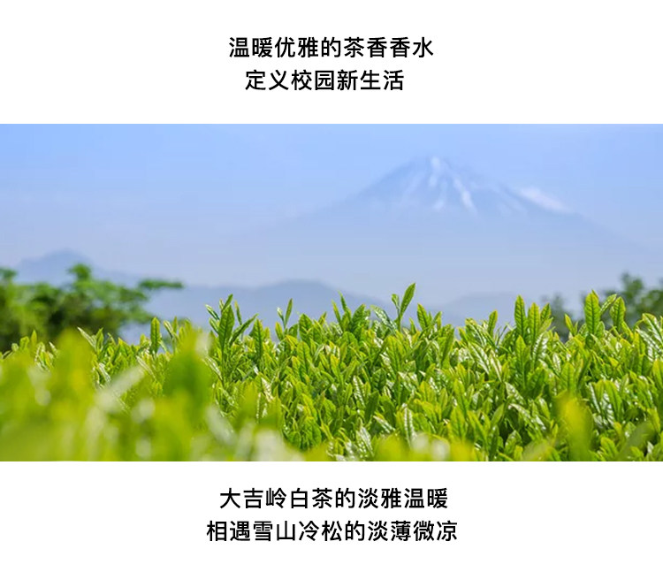 JEAN MISS 男士大吉岭茶香水 小编买过气味清新淡香 图5