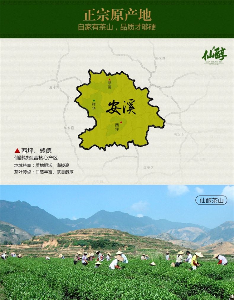 仙醇 安溪特级铁观音250g*2盒 核心产区 礼盒包装 图2