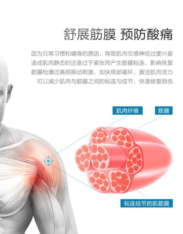 福客莱 602 筋膜枪 基础款 图7