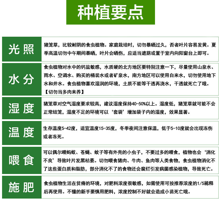 乡疆 猪笼草 品种随机 小苗 带盆栽好 图3