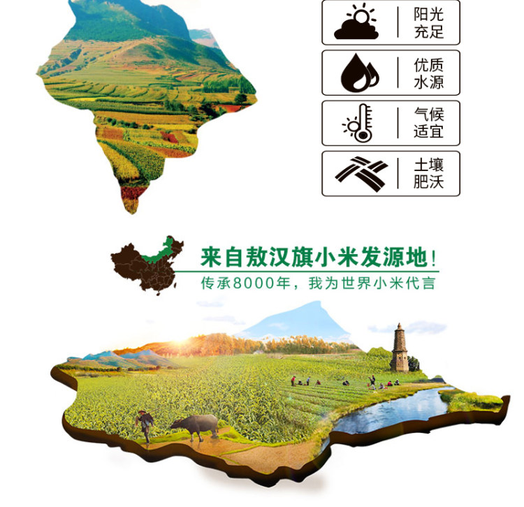内蒙古赤峰 敖汉农家新小米4斤 图8