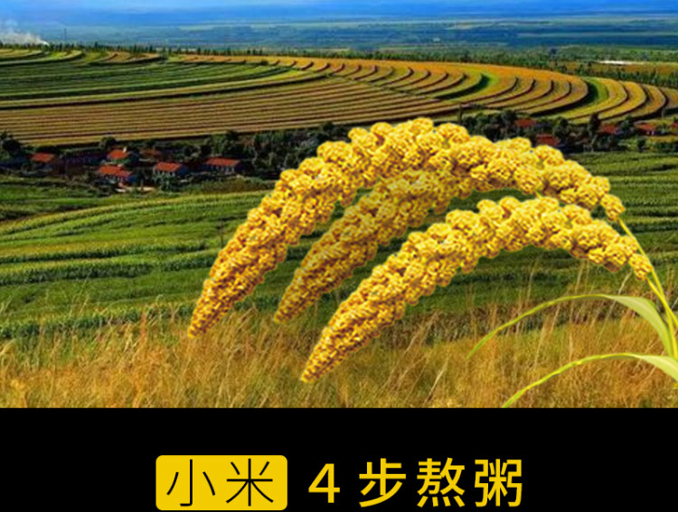 内蒙古赤峰 敖汉农家新小米4斤 图11