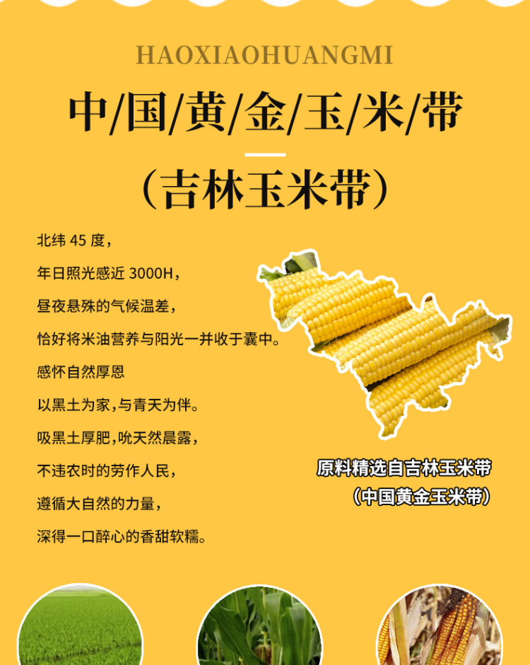 田灿 玉米糁400g*4包 图3