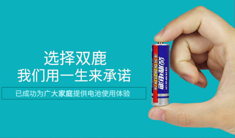 双鹿电池 5号20粒+7号20粒 图2