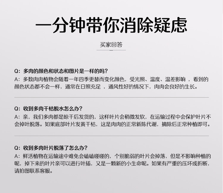 多肉植物组合盆栽 10颗 图27