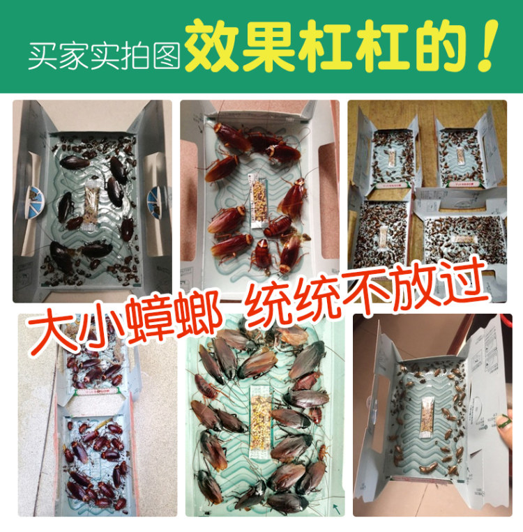 日本进口 安速 小强恢恢蟑螂捕捉贴 10片 图3