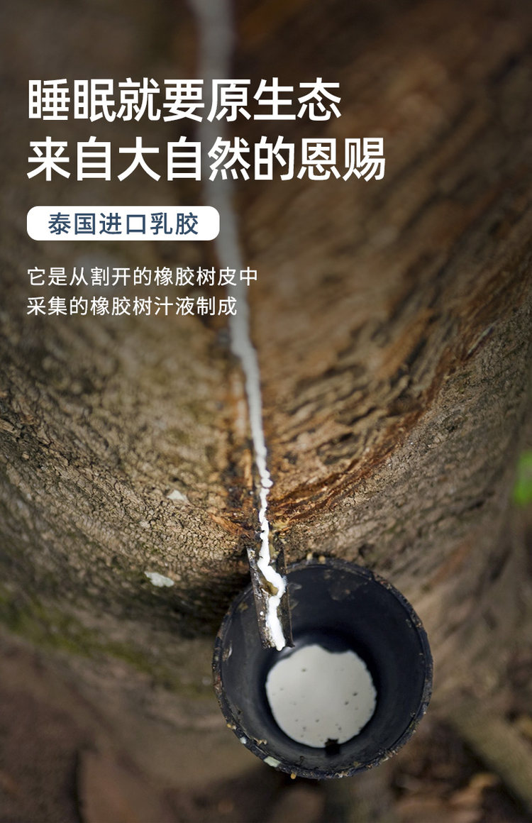 水星罗莱面料供应商 华福定制家纺 大颗粒乳胶按摩枕 图3