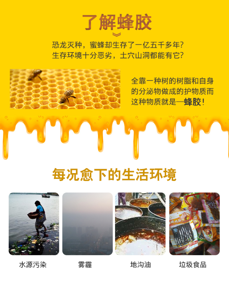 澳洲进口 黑蜂胶软胶囊 100粒 增强抵抗力 图3