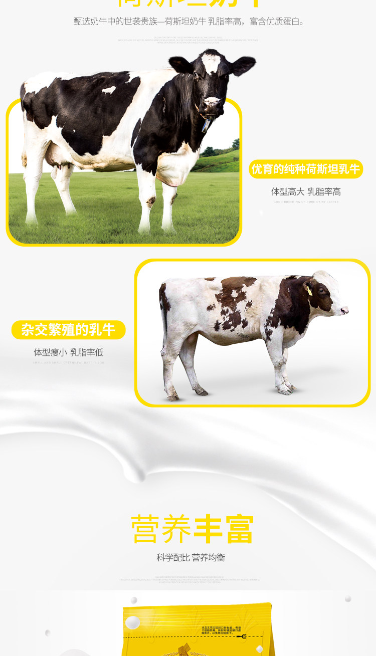 法国进口奶源 荷兰乳牛 全脂甜奶粉 300g 图4