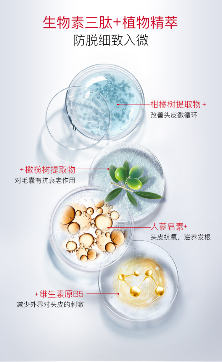 波兰进口 丝柏汀 雄性脂溢性掉发控油无硅油洗发水 2瓶 图4
