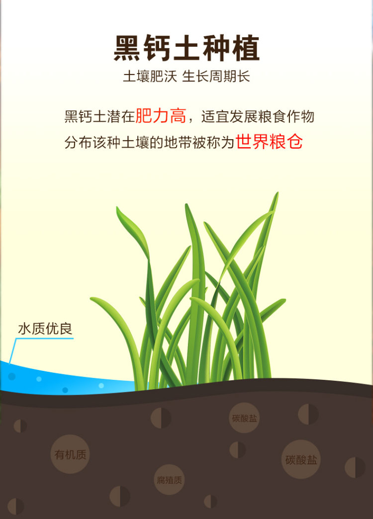 想念  葱油拌面4人份2盒装552g 图5