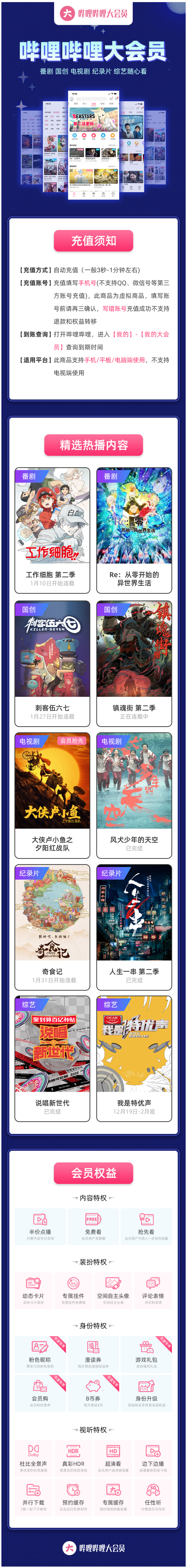 哔哩哔哩 大会员 1个月 图1