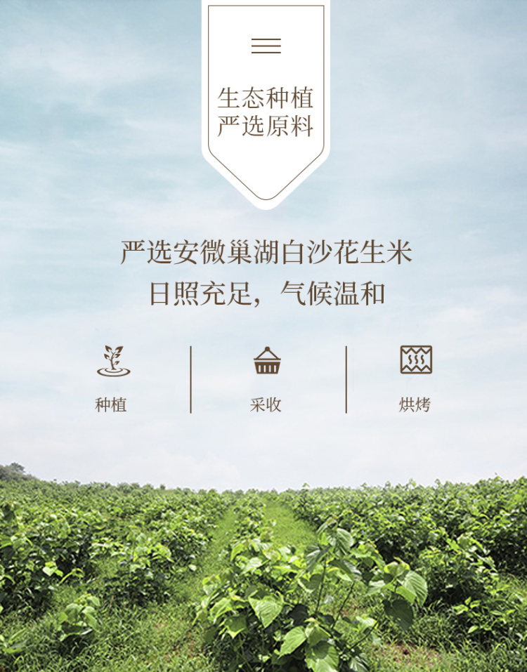 叶大昌 五香花生米熟多味七彩花生 200g*2袋 图3