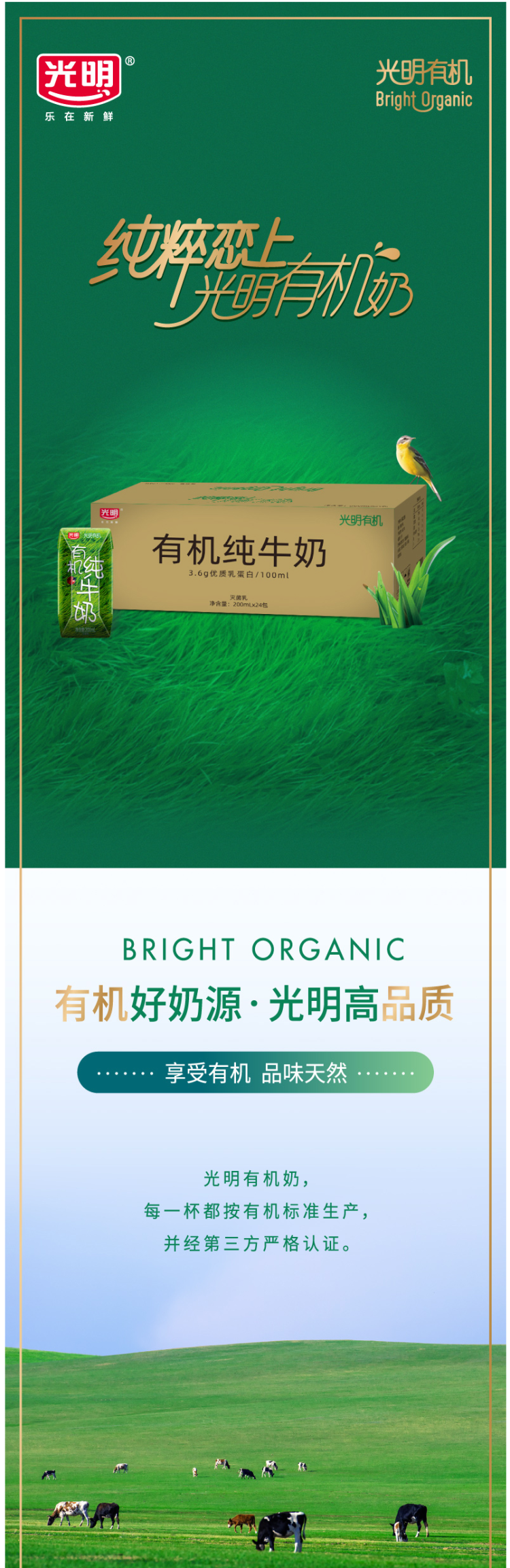 光明 3.6g蛋白质 有机纯牛奶 200ml*24盒 营养早餐生牛乳奶 图1
