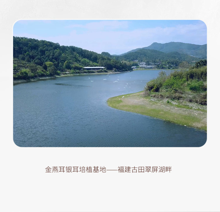 金燕耳 特级本草银耳 80g可做40杯 15分钟出胶 3倍粗多糖含量 图8