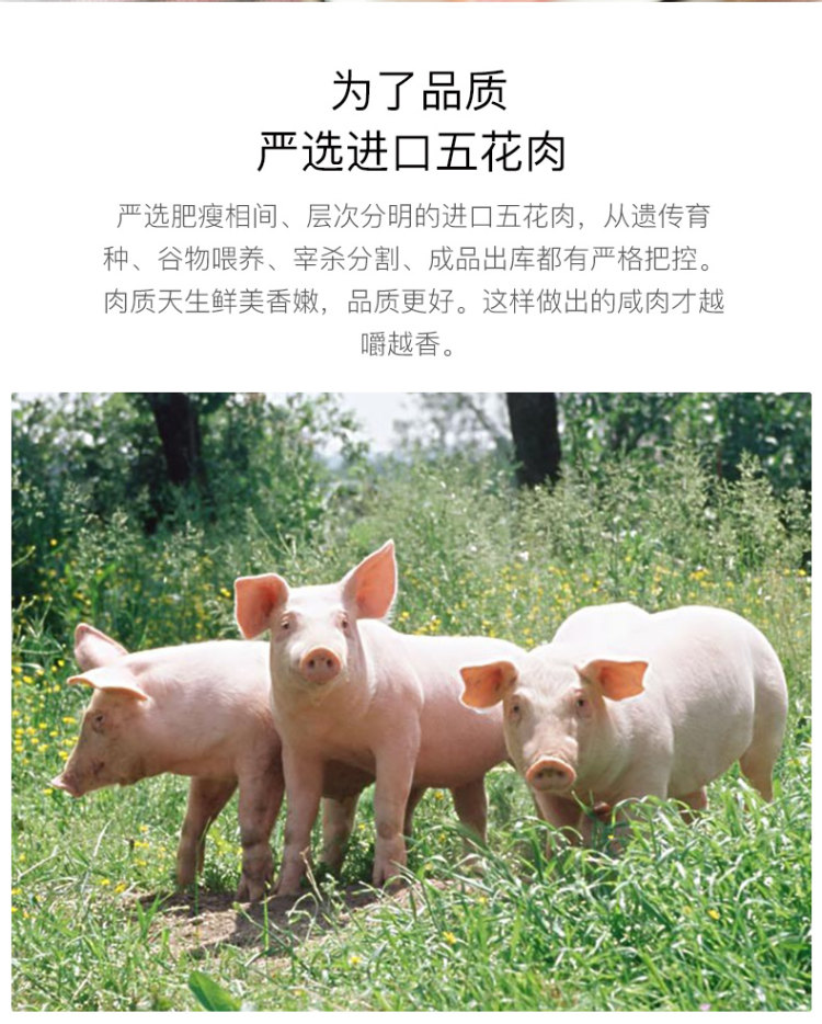 金华火腿标杆企业 金字 上海风味腌腊五花淡咸肉 268g 图3