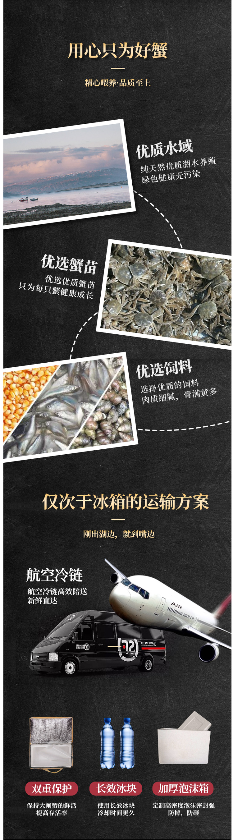 现货 鲜活兴化红膏大闸蟹 16只 图11