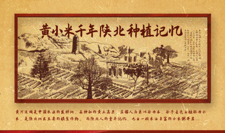 延安小米 正宗延安黄小米400g*3袋 图1