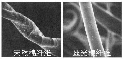 本米 男长绒棉双丝光Polo衫 图2