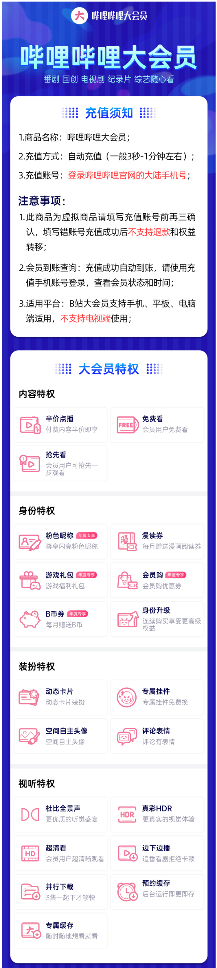 哔哩哔哩 B站VIP大会员 12个月 图1
