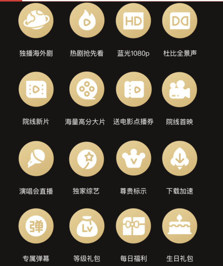 爱奇艺 星钻VIP会员+京东PLUS会员 年卡 通杀爱奇艺所有付费产品 图1