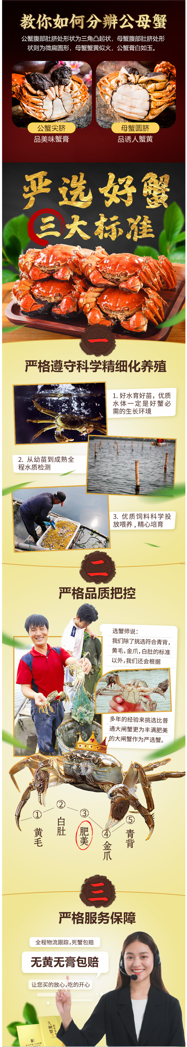 现货 鲜活 大闸蟹 公4.5~4.8两/母3.5~3.8两 各5只 图4