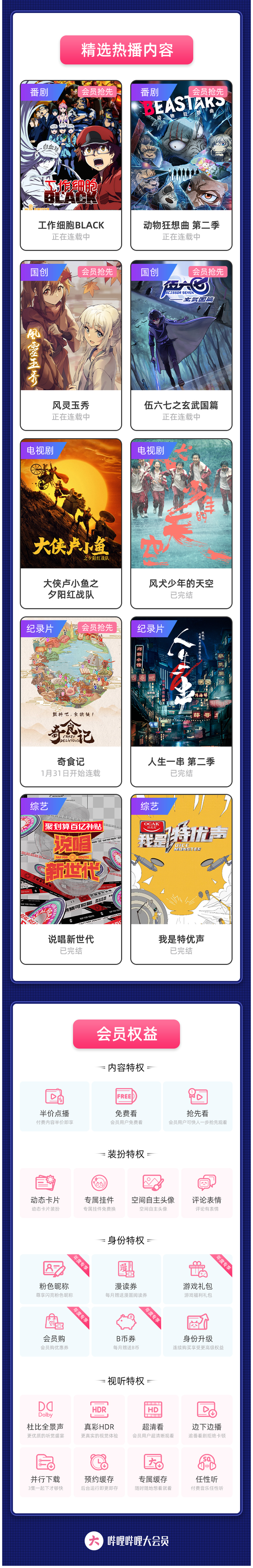 哔哩哔哩 B站VIP 12个月 图3