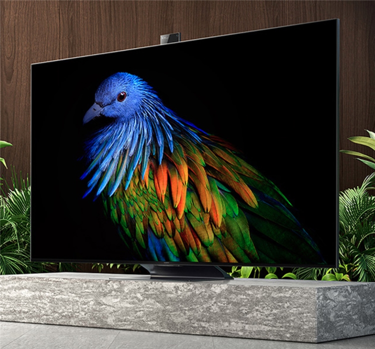 家电研究所、PLUS会员：标配高刷屏+HDMI2.1游戏电视盘点 图5