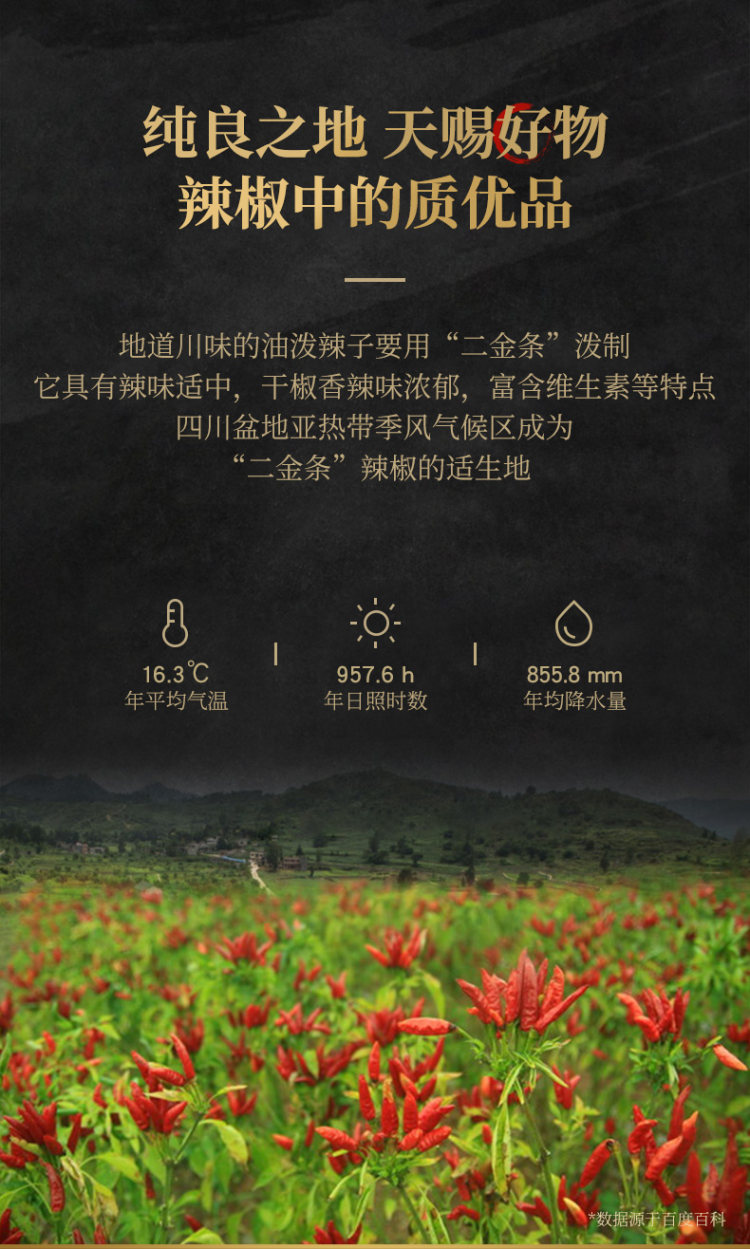 臻鲜 麻辣油泼辣子 香辣红油辣椒油 图9
