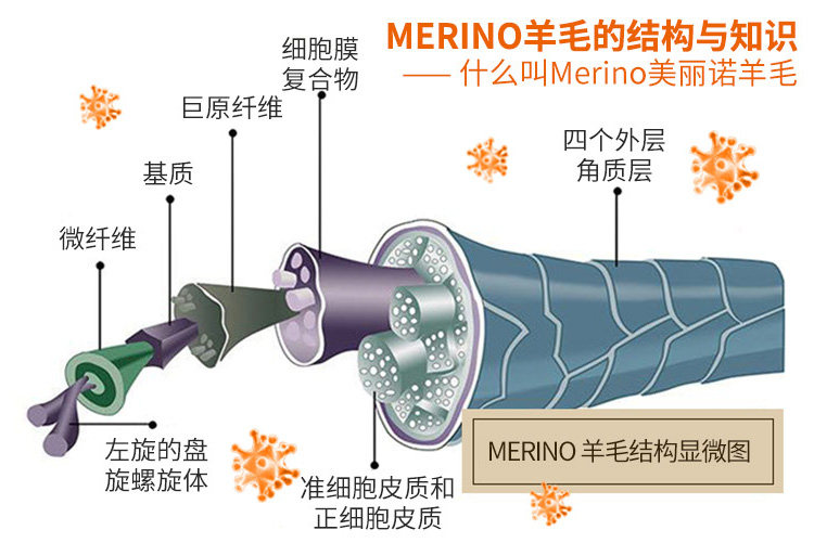地球科学家 美丽奴羊毛复合面料 男女秋冬保暖连帽卫衣 图2