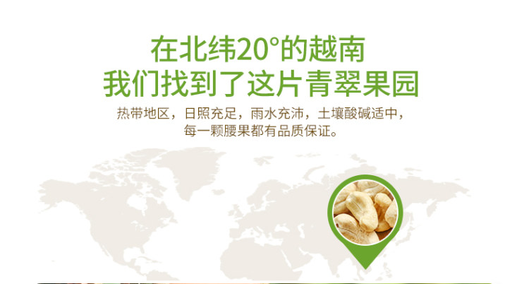 沃隆 原味不带皮 腰果仁500g罐装 图3
