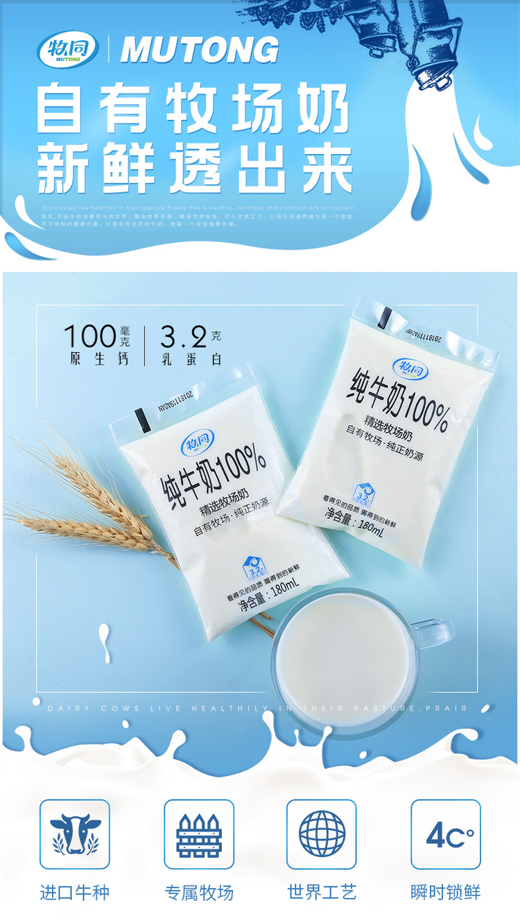 夏进旗下 牧同 3.2g高蛋白 100%全脂纯牛奶 180ml*14袋 图1