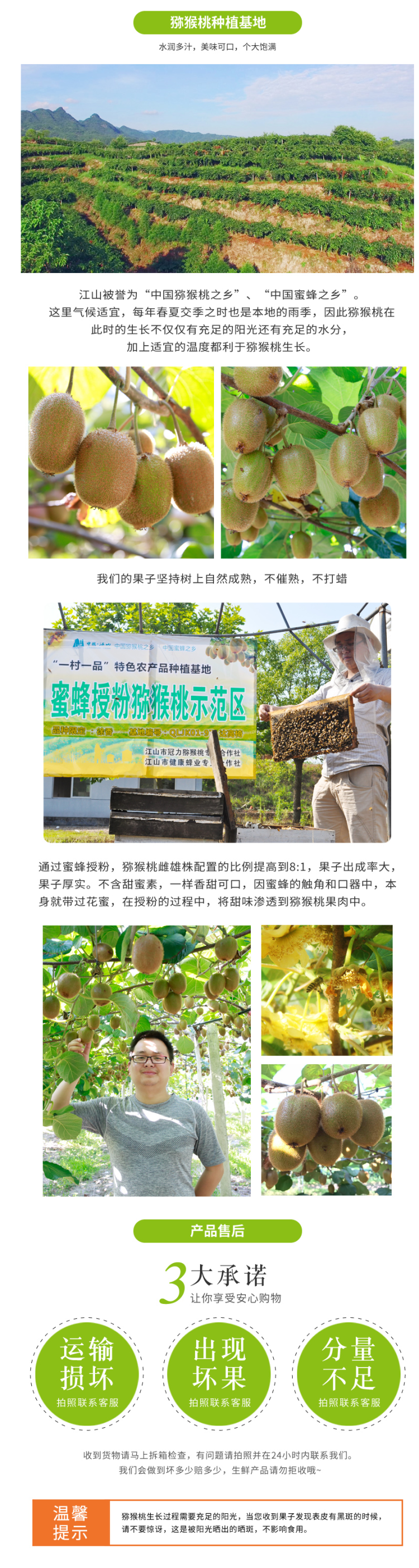 江山 徐香猕猴桃 仅重4斤 图3