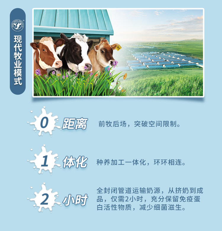 蒙牛 现代牧业 金奖纯牛奶250ml*20盒 图4